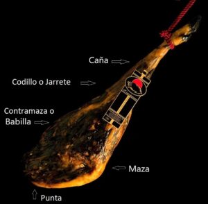 Partes del jamón